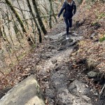 Trail Walkers