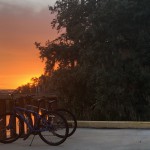 Bike Rides